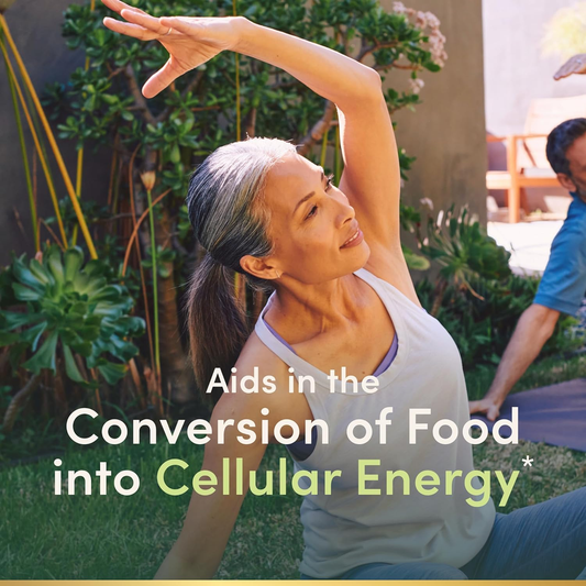 vegetarian non-gmo vitamin b12 supplement nerve health