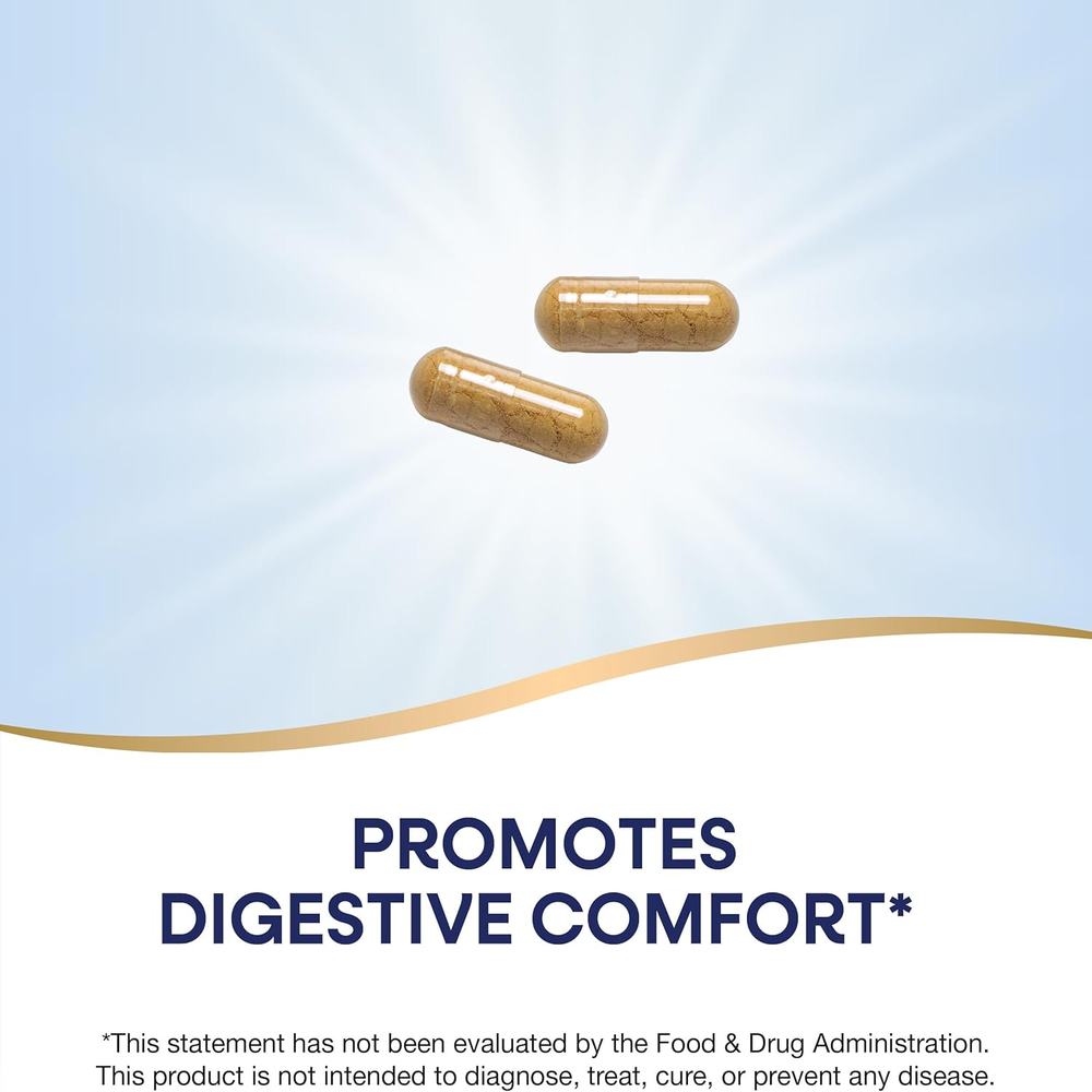 Ginger Root Capsules 550 Mg per Capsule, Digestive Comfort* Reduces Motion-Related Nausea*, 1,100 Mg per 2 Capsules, Non-Gmo Project Verified, Vegan, 240 Count