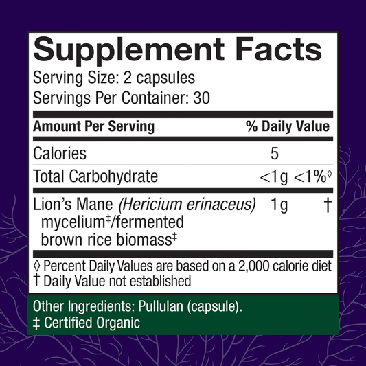 Mushrooms Lion'S Mane - Supplement Capsules for Brain Health Support - Mushroom Support for Focus & Memory Function - Immune & Nervous System Supplement - 60 Capsules (30 Servings)*