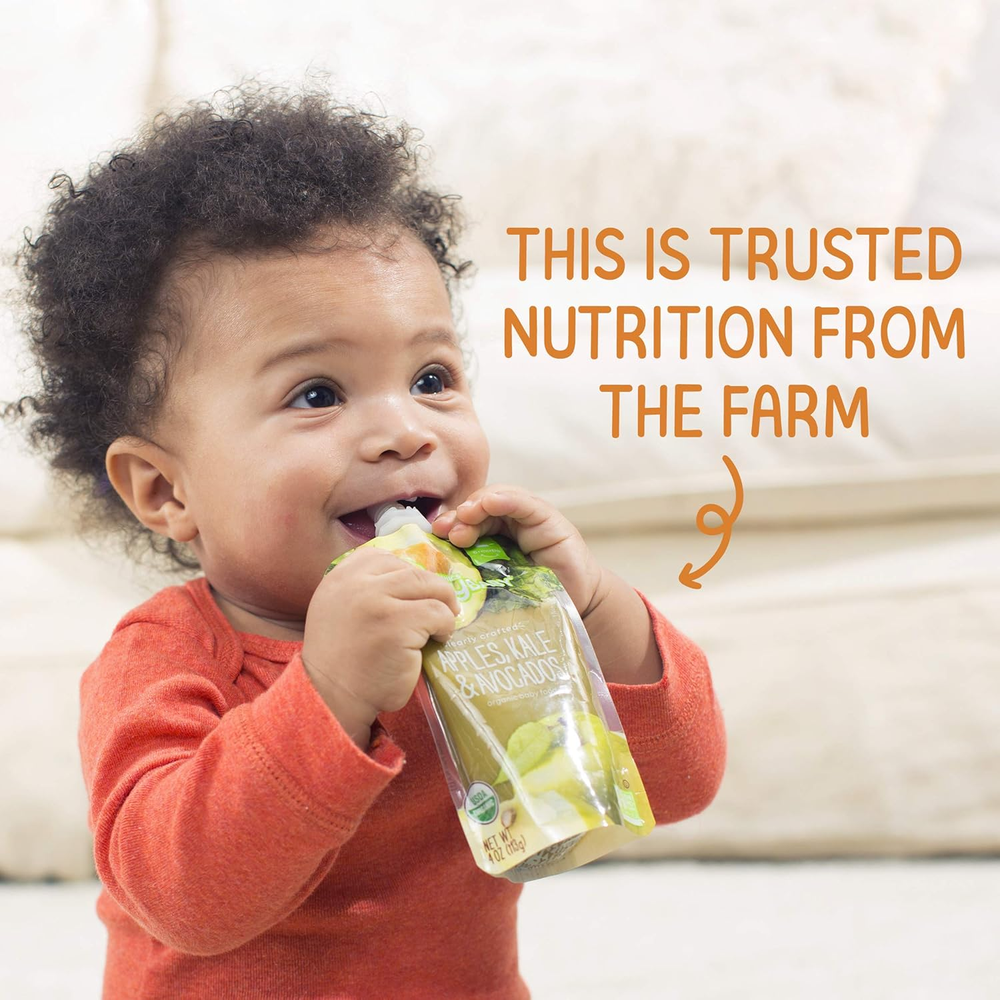 Organics Stage 2 Baby Food Pouches, Gluten Free, Vegan & Healthy Snack, Clearly Crafted Fruit & Veggie Puree, Fruit & Veggie Variety Pack, 4 Ounces (Pack of 10), Amazon Exclusive