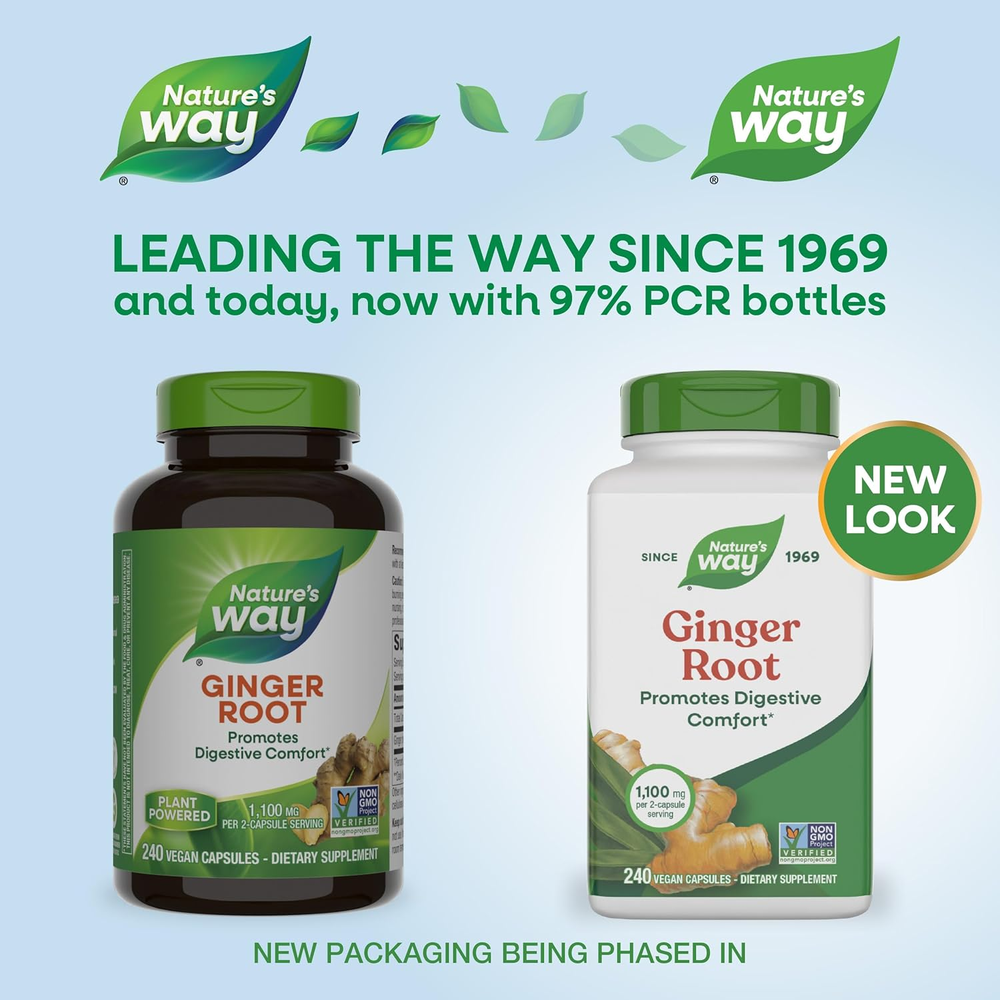 Ginger Root Capsules 550 Mg per Capsule, Digestive Comfort* Reduces Motion-Related Nausea*, 1,100 Mg per 2 Capsules, Non-Gmo Project Verified, Vegan, 240 Count